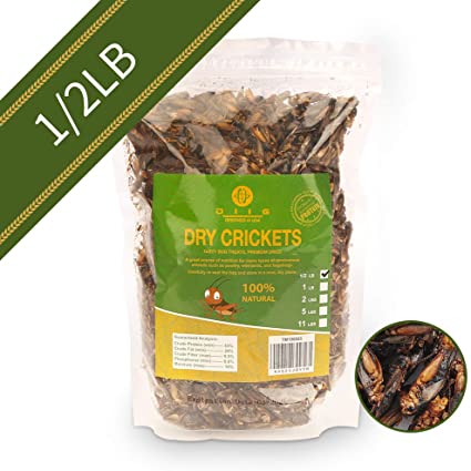 diig Dried Crickets - Treats for Bearded Dragon Birds Chickens Hedgehog Hamster Fish Reptile Turtles, 8 oc