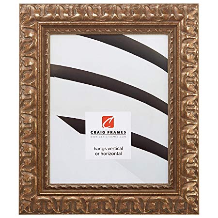 Craig Frames 21247906 18 by 24-Inch Picture Frame, Ornate Finish, 2.031-Inch Wide, Bronze and Gold, Acrylic Facing, Foamcore Backing