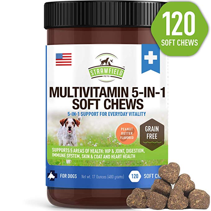Dog Multivitamin   Glucosamine Chondroitin MSM, Omega 3, Probiotics, Hemp - 120 Grain Free Chews, USA - Dog Vitamins and Supplements for Coat, Skin, Heart, Immune Support   Joint Supplement for Dogs