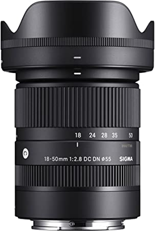 18-50mm F2.8 DC DN Contemporary for Sony E