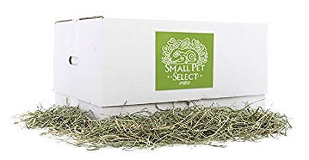 Small Pet Select 2nd Cutting "Perfect Blend" Timothy Hay Pet Food