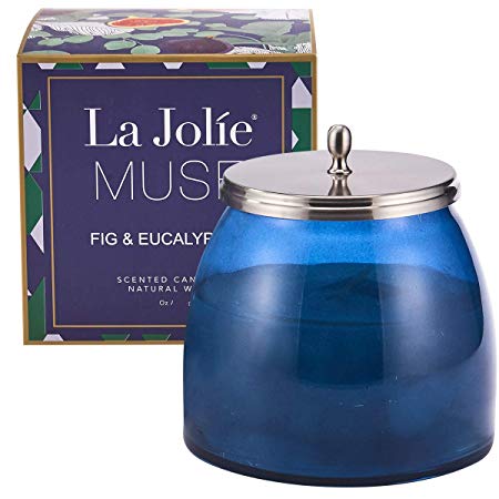 LA JOLIE MUSE Aromatherapy Scented Candle Stress Relief Eucalyptus Fig, Large Glass Jar, Natural Soy Wax Candle Gift for Christmas, 14.82 Oz