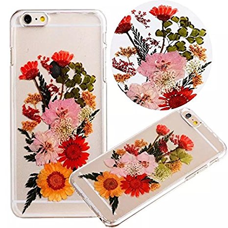 Protective Ultra Thin Slim Ultra-thin Light Cover Case Cover Case for Apple iPhone 6 6S 4.7-inch Natural Pressed Flowers Handmade Real Pressed Flowers Property of Dried Flowers Shell Bag Hull Flexible Silicone Shell Case Cover – Chrysanthemum Flowers
