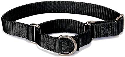 PetSafe Martingale Dog Collar, Alternative to Choke Collar