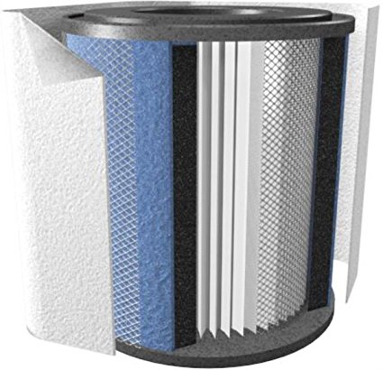 Austin Air HealthMate 400 Replacement Filter for Air Purifier- White