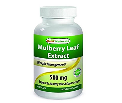 Best Naturals Mulberry Leaf Extract, 500 Mg, 120 Count