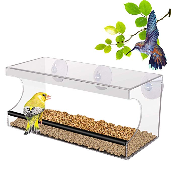 PEDY Large Window Bird Feeder with Removable Tray, Acrylic Clear Window Mount,Easy to Clean and Fill ,3 Suction Cups