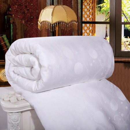 Topsleepy All Size Natural Long Mulberry Silk Comforter 100% Handmade White Softer Quilts (Spring/autumn Queen)