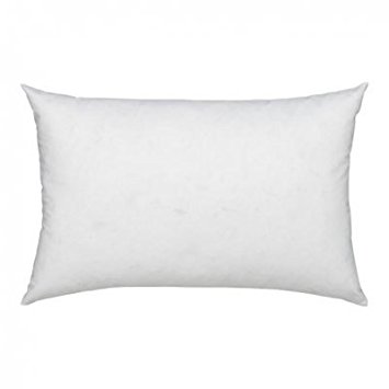 One - 12 x 16 - 95% Feather 5% Down Pillow Insert - 220 TC Cotton Rich Shell - Exclusively by Blowout Bedding RN #142035