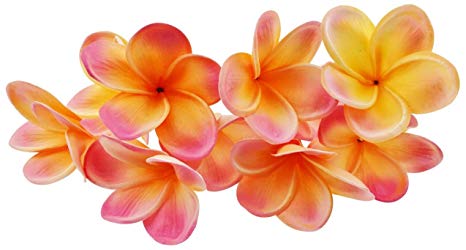 Winterworm Bunch of 10 PU Real Touch Lifelike Artificial Plumeria Frangipani Flower Bouquets Wedding Home Party Decoration (Orange Pink)