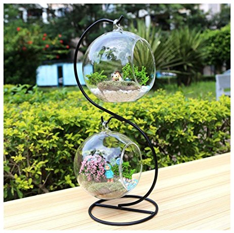 Charming Clear Glass Ball Vase Air Plant Terrarium / Succulent Flowerpot Container w/ Black Metal Stand (2 Globs)