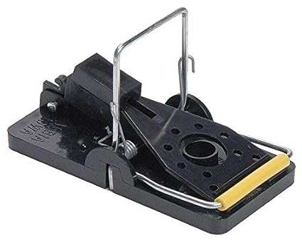 Kness Mouse Trap, 4 in. L, 3 in. W, 1-3.4 in. H