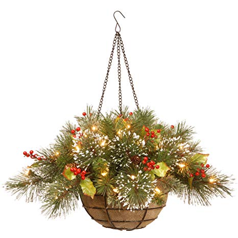 National Tree 20 Inch Wintry Pine Hanging Basket with Branch Sprigs, Red Berries, Cones and 35 Battery Operated Warm White LED Lights (WP1-388-20HB-1)