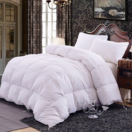 Topsleepy Luxurious All Size Bedding Goose Down Filling Comforter, White (King Size)