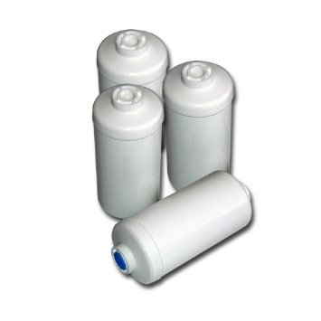 Berkey PF-4 Fluoride/Arsenic Replacement Filters, 4-Pack - Fits Ceramic".