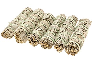 6 Pack - Premium California White Sage Smudge Sticks, Each Stick Approximately 4 Inches Long - Alternative Imagination Brand. Made in USA.
