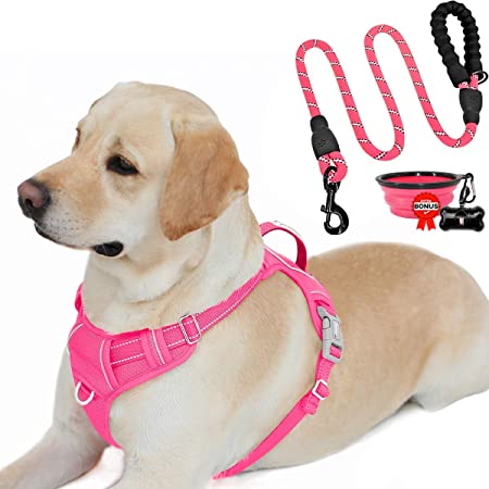 BARKBAY No Pull Dog Harness and Dog leashes for Medium Dogs Rope Leash Heavy Duty Dog Leash(Pink)