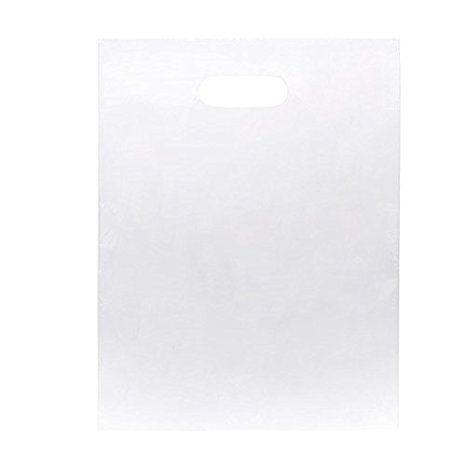 ClearBags 12 X 15 LDPE Clear Frost Handle Bag | Merchandise Bag With Handles | Tear Resistant Strength | Perfect for Trade Shows, Retail, and More | NFL Stadium Approved | H1215F1A (Pack of 100)