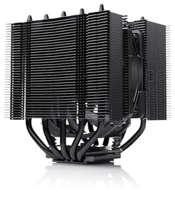 Noctua NH-D12L chromax.black, Low-Height Dual-Tower CPU Cooler (120mm, Black)