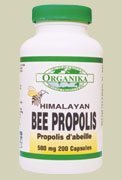 Bee Propolis 500mg (100Capsules) Brand: Organika