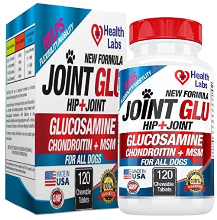 Best Dog Support Hip & Joint Health Nutritional Supplement for Dogs - Glucosamine Chondroitin with MSM - Aids Arthritis in Dogs - Great for Hip Dysplasia in Dogs - 120 Beef Dog Chews - 100% GUARANTEE