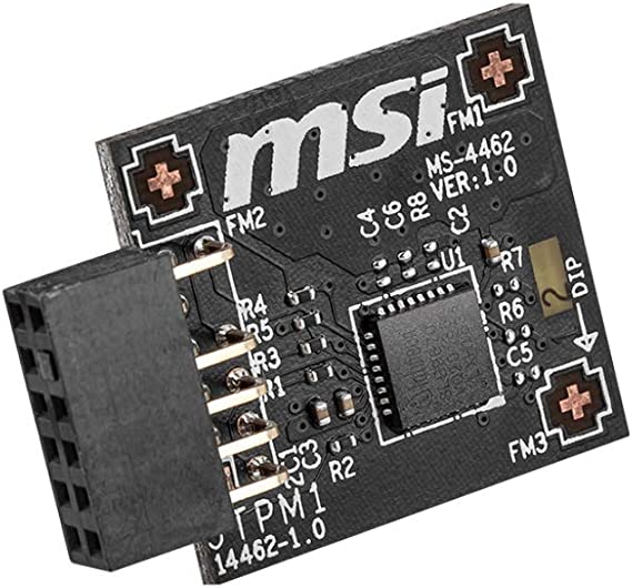 MSI TPM 2.0 MODULE (SPI)