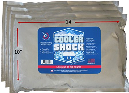 Large Cooler Freeze Packs 10" By 14" Inches (3) Cooler Shock - Ready to Use