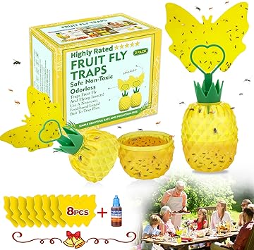 Fruit Fly Trap for Indoors, 2023 Upgrade Fruit Fly Killer Gnat Traps for House Indoor with Yellow Sticky Pads, Non-Toxic Reusable Fly Catcher Gnats Killer Comes with Attractant for Home/Plant (2 Pack)