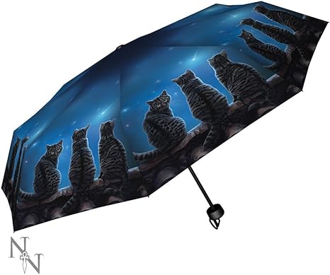 Nemesis Now Wish Upon A Star Tabby Cat Umbrella Lisa Parker Fantasy