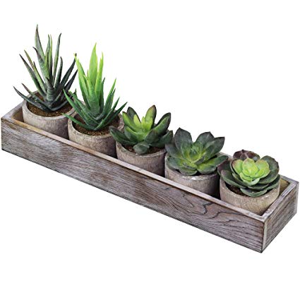 Supla Set of 5 Mini Fake Succulent Cactus Aloe Potted Plant Arrangements Decorative Assorted Potted Artificial Succulents Plants in Gray Pots Succulent Plants Wood Planter Arrangement