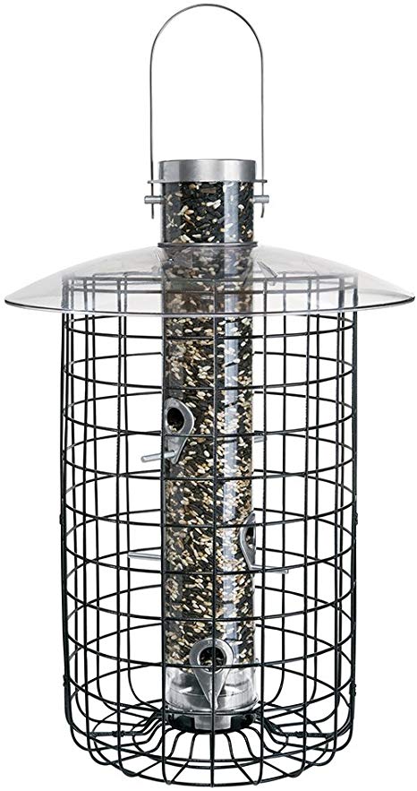 Droll Yankees Domed Cage Sunflower Seed Bird Feeder, 20 Inches, 6 Ports, Black