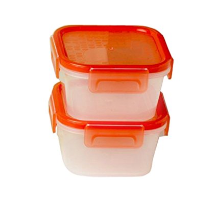 Snapware 1.3 Cup Square Airtight Plastic Food Storage Container, Pack of 2 Containers, Red Lid