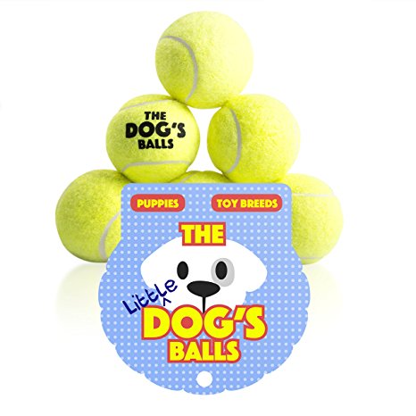 The Little Dog's Balls - 6 Small Dog Tennis Balls, Premium Mini Dog Toy for Puppies & Small Dogs, For Exercise, Play, Training & Fetch. the King Kong of Little Dog Balls