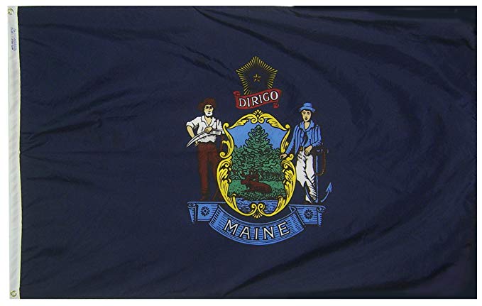 Annin Flagmakers Model 142260 Maine State Flag 3x5 ft. Nylon SolarGuard Nyl-Glo 100% Made in USA to Official State Design Specifications.