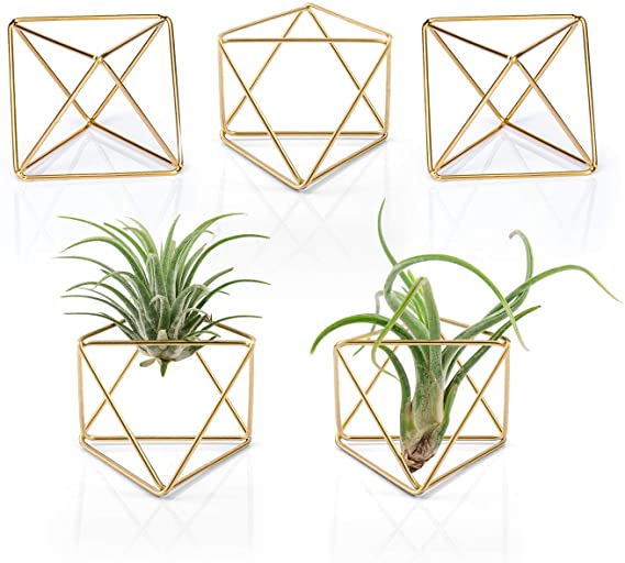 Mkono 5 Packs Air Plant Holder, Same Shape Mini Metal Tabletop Himmeli Decor Modern Geometric Planter Tillandsia Air Fern Display Stand with Each Side 2.6'' Long for Home Office Decor Gift Idea, Gold