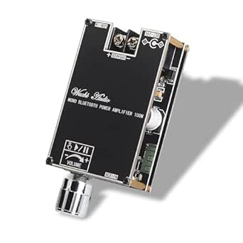 ZK-1001B Mono Bluetooth Amplifier Board with TPA316D2 Chip, Wide Voltage Input 12-24V Peak Output Power 100W, with TWS Pairing Function, Black (ZK-1001B)