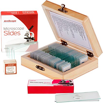 AmScope PS25-BSC12-72P100S22 25 Piece Microscope Prepared Slides, 72 Piece Pre-Cleaned Blank Plate Slides, 12 Piece Single Depression Concave Slides and 100 Piece Coverslips