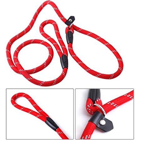 Ecloud ShopCA Pet Dog Nylon Adjustable Loop Slip Leash Rope Lead 10mm