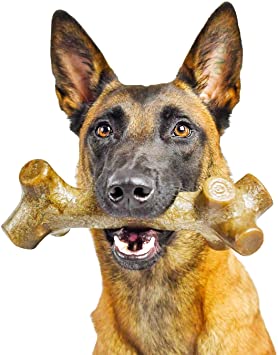 Pet Qwerks BarkBone Peanut Butter Flavor Chew Stick - Durable Dog Bones for Aggressive Chewers, Tough Extreme Power Chewer Toys | Made in USA with FDA Compliant Nylon - for Large Breed Dogs