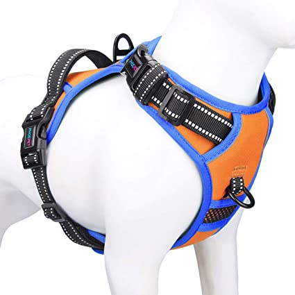 PHOEPET 2019 Upgraded No Pull Dog Harness, Unique Colors Reflective Adjustable Vest, with a Training Handle   2 Metal Leash Hooks  3 Snap Buckles  4 Slide Buckles [Easy to Put on & Take Off]