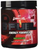 G Fuel Energy Formula By Gamma Labs - Watermelon 280 Gram