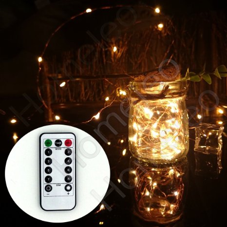 Homeleo 5M 50LEDS Battery Operated Remote Contol LED String Lights Flexible Copper Wire Light LED Starry Lights Fairy Lights AA Battery Powered Tiny Decorative Lights(50 Leds, Warm White, Waterproof)