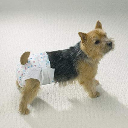 Disposable Doggy Diapers