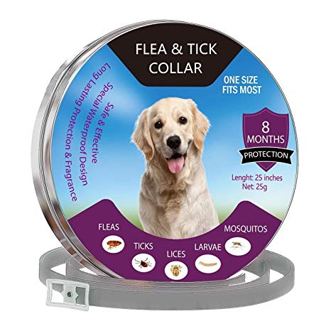 QAZKER Flea and Tick Collar Prevention 12 Months - Cat Dog Flea and Tick Treatment - Durable and Waterproof Flea and Tick Collar
