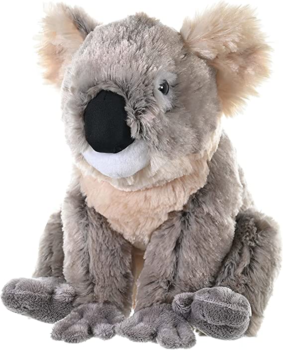 Wild Republic 10908 Koala Plush Soft, Cuddlekins Cuddly Toys, Gifts for Kids 30 cm, Multi