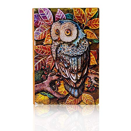 Fronnor Vintage Hardcover Owl Theme Cool Fashion Diary Lined Note Book Creative Notebook School Office Supplies(Colorful Bronze)