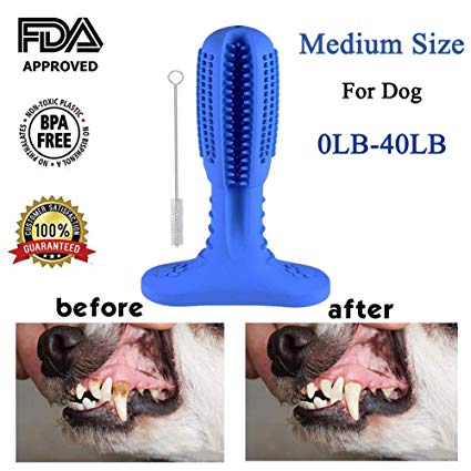 Dog Toothbrush, SEED Puppy Dental Care Teeth Cleaning Bristly Brushing Stick Chew Toy for Pet Doggie Nontoxic Natural Rubber 2019 Upgrade Bite Resistant Funny Gift for Small & Medium & Large Breed
