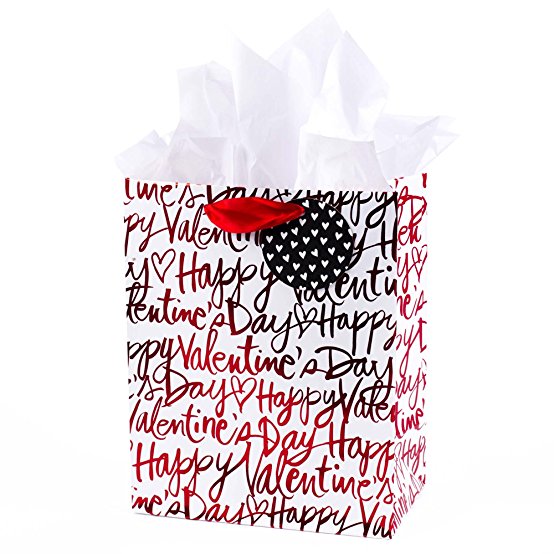 Hallmark Valentine's Day Medium Gift Bag with Tissue Paper (Happy Valentine's Day On White)