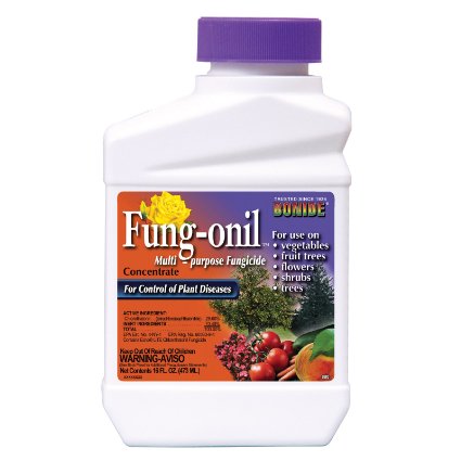Bonide 880 Fungonil Fungicide, 16-Ounce