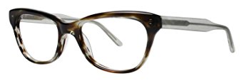 VERA WANG Eyeglasses HERMINE Spring Tortoise 49MM